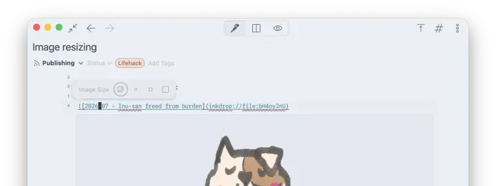 The image resize toolbar