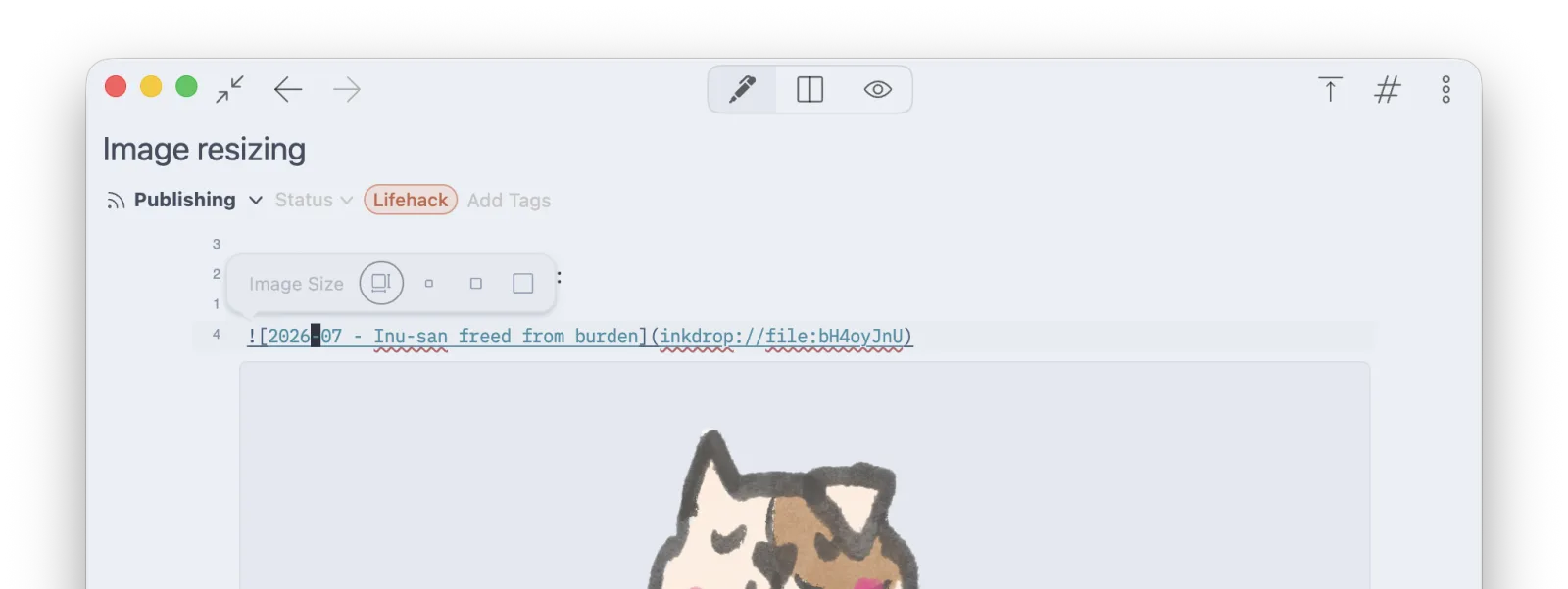 The image resize toolbar